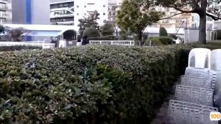 女士性感平角内裤⭕❌❌美女直播动态视频